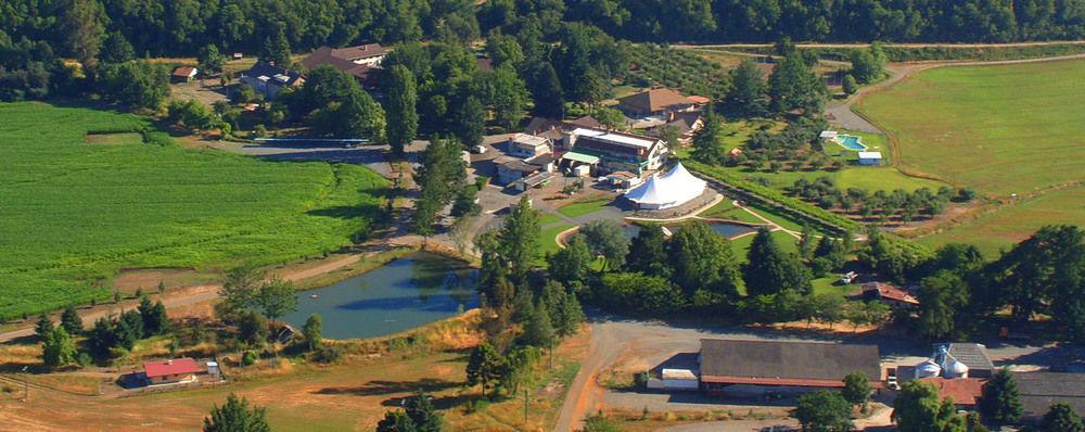 Hotel Baviera Parral Zewnętrze zdjęcie